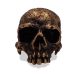SIG-071 Aged Carved Bronze Skull Ring (3)